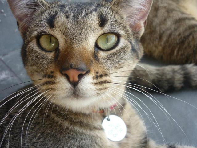 540329_10151775642190603_1388295178_n