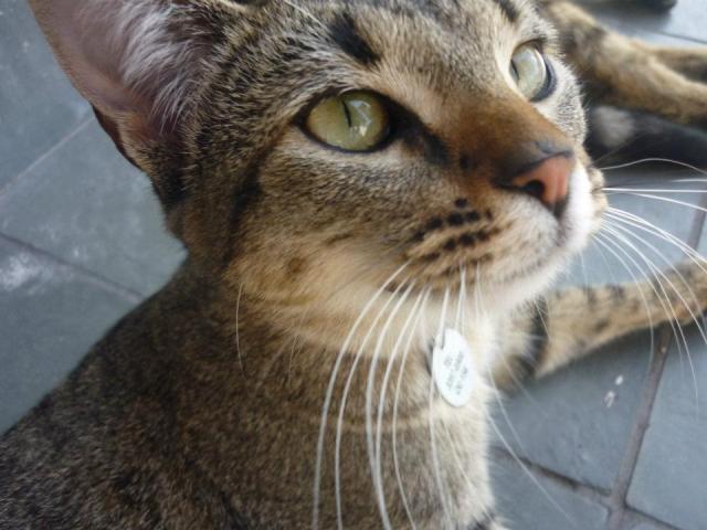 599338_10151775641710603_382868720_n