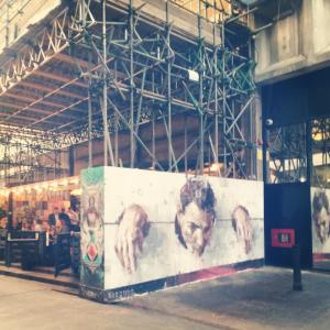 1970599_10154651507920603_4976714339928976711_n