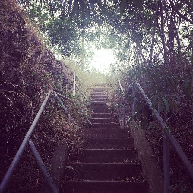 11071444_10155357959570603_1821432657857268357_n