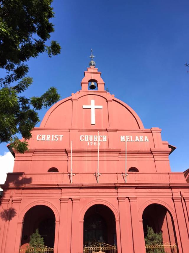 11222057_10156253345375603_1669095696190327408_n