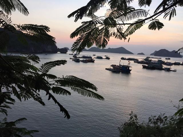 12208848_10156221349685603_3996196205534929417_n