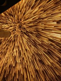 13315664_10156986832710603_2179590340453622902_n