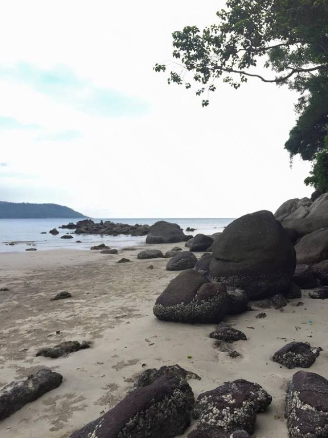 12074537_10156144747410603_3165512685864035494_n