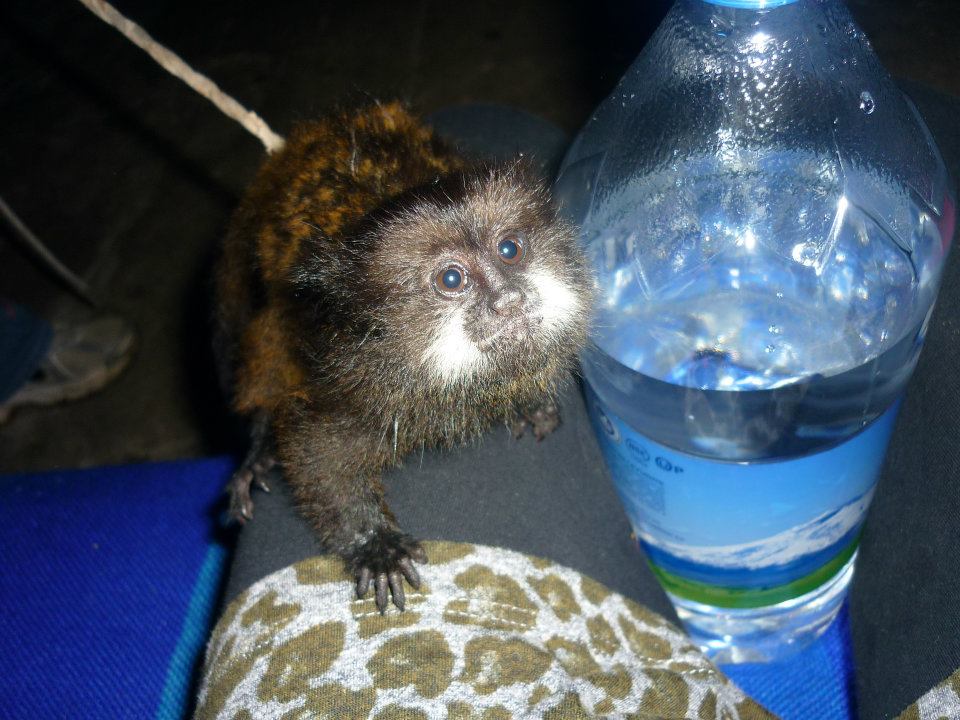 154552_10151770610530603_623059792_n