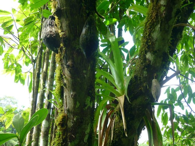 541963_10151770643675603_532880545_n