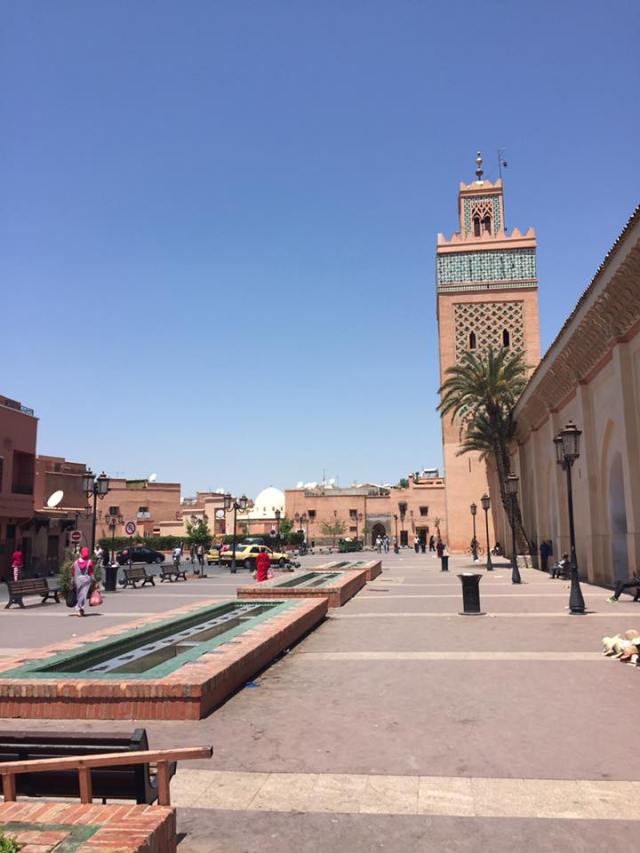 13332837_10156986864375603_2567047007335916594_n