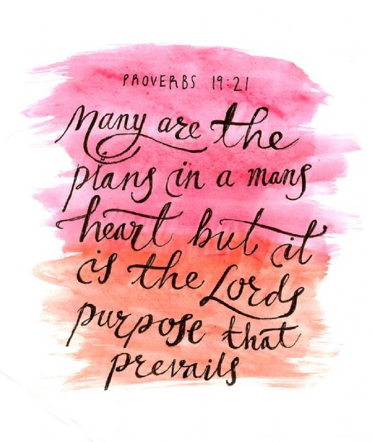 d8d136f084773f2c4ab6d8360accbc3c