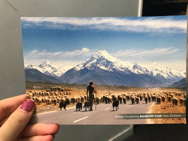 10117D9D-61CA-4EA8-8BAD-F501DDC25B22