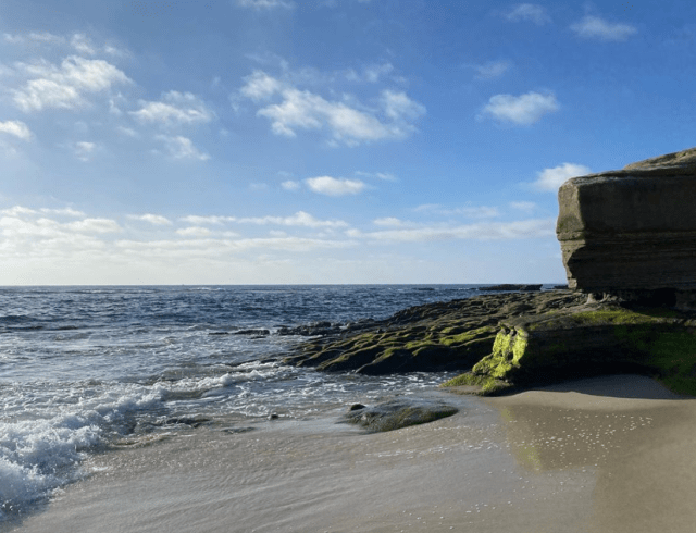 Screen Shot 2020-07-09 at 9.35.21 PM