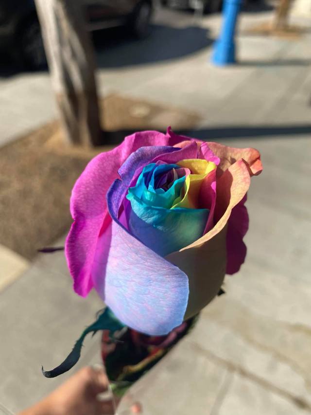 106456369_10163917468815603_2026484548721201859_o